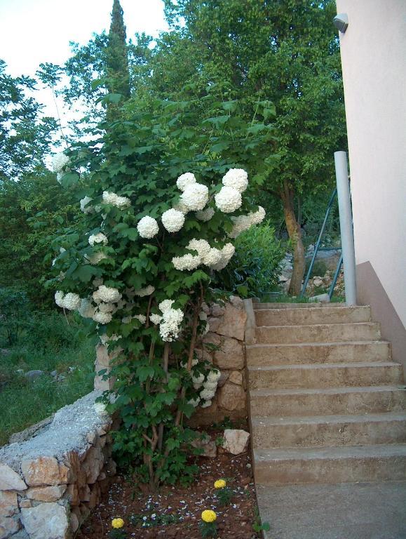 Villa Petra Меджугорье Экстерьер фото
